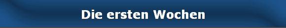 Die ersten Wochen